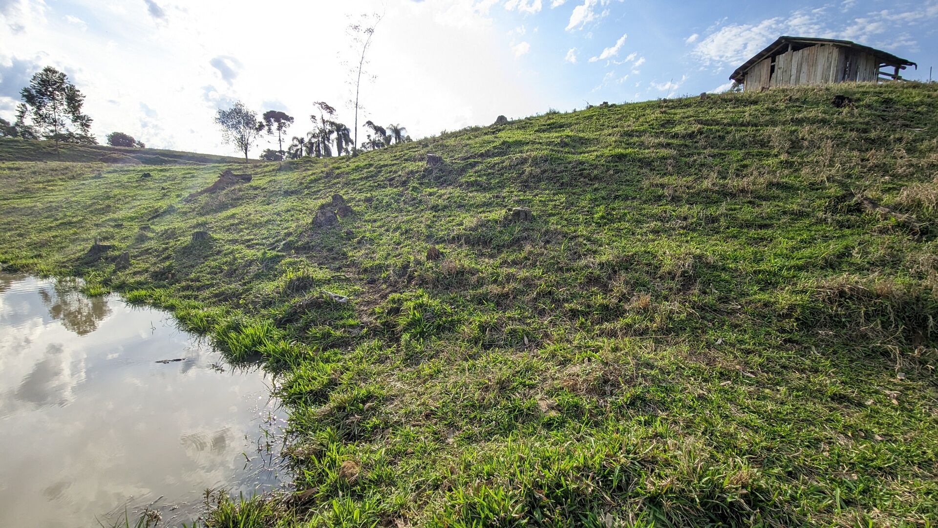 Terreno, 4 hectares - Foto 16