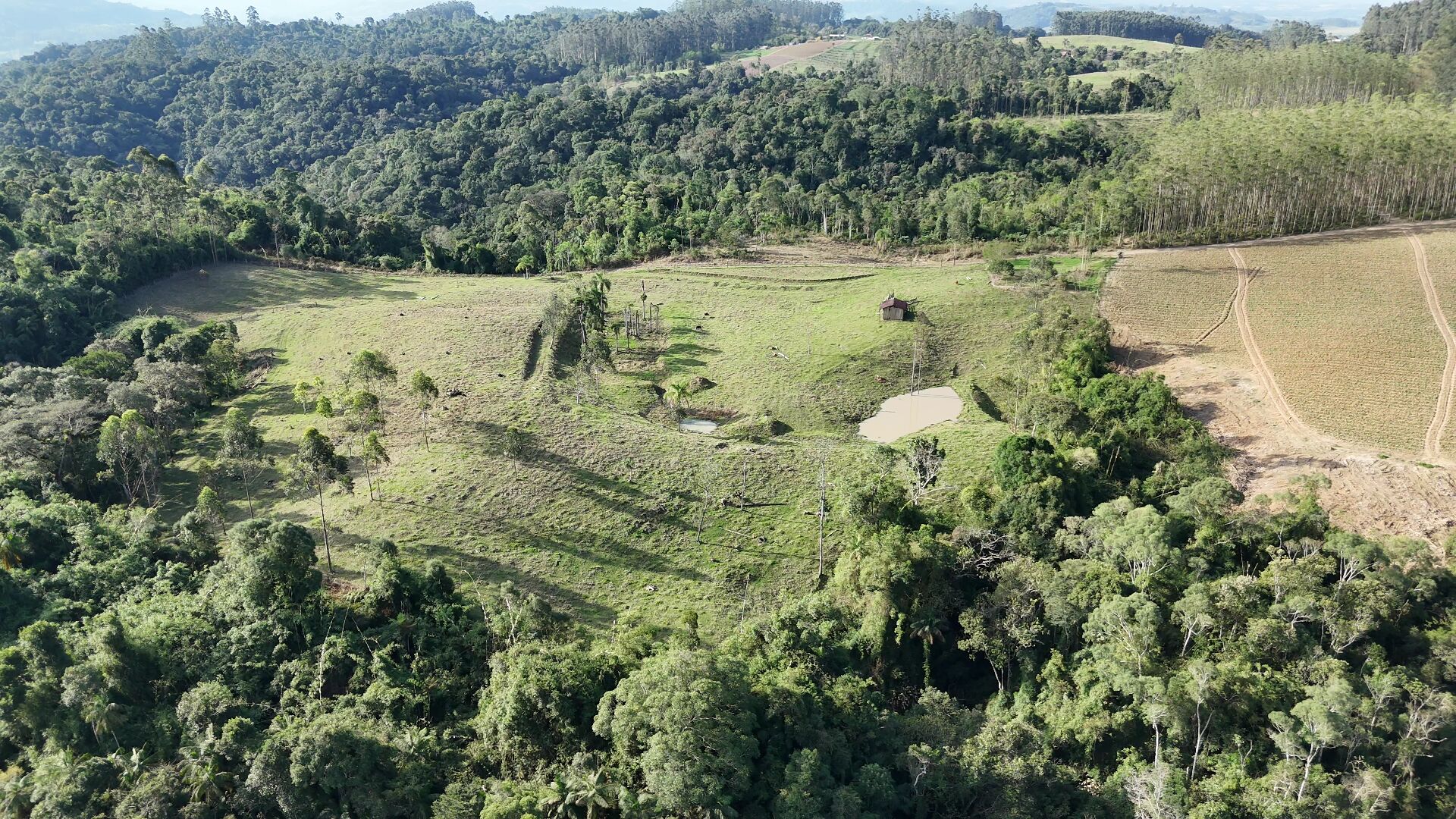 Terreno, 4 hectares - Foto 1