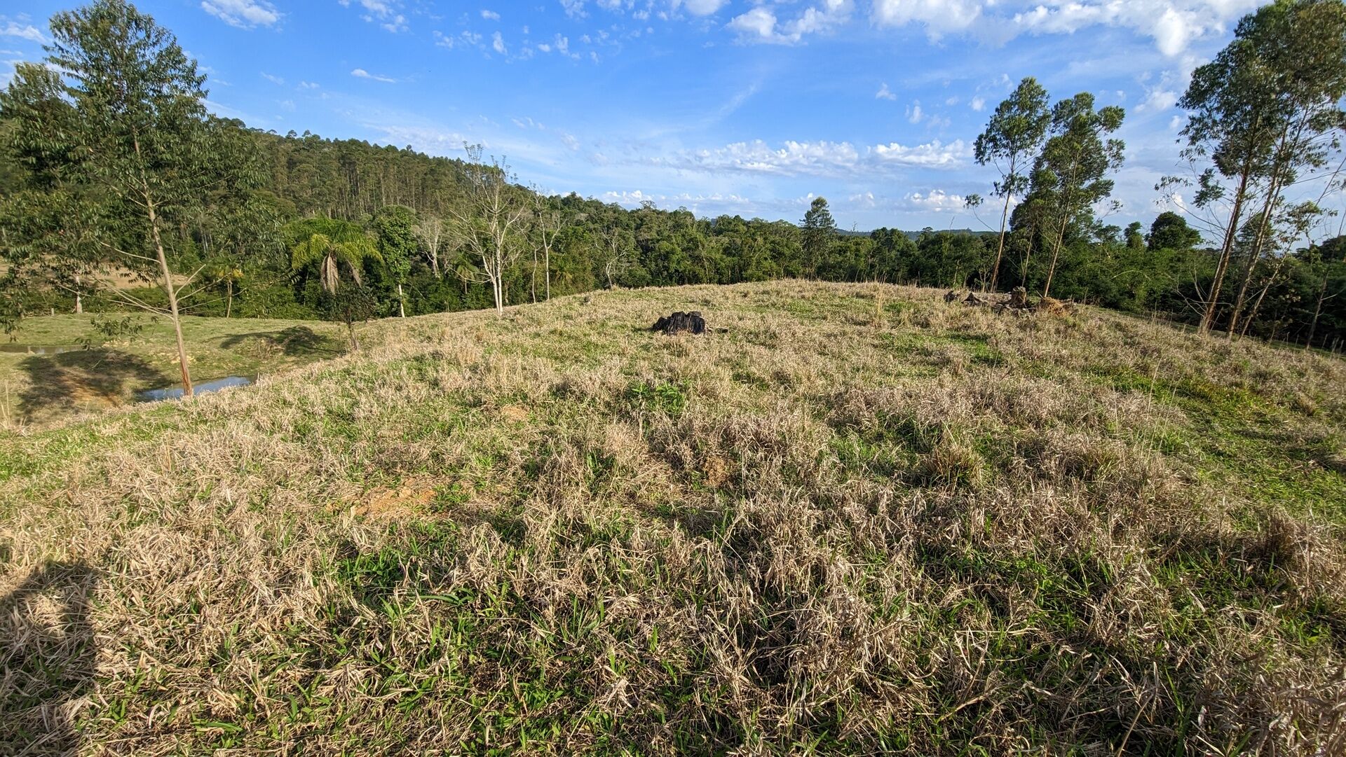 Terreno, 4 hectares - Foto 9