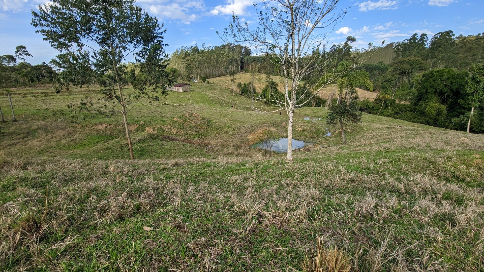 Terreno, 4 hectares - Foto 10