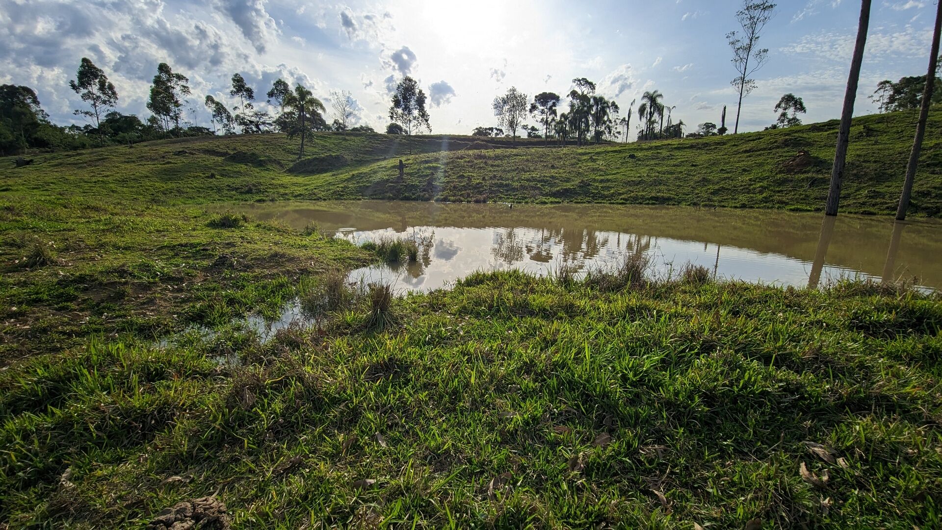 Terreno, 4 hectares - Foto 15