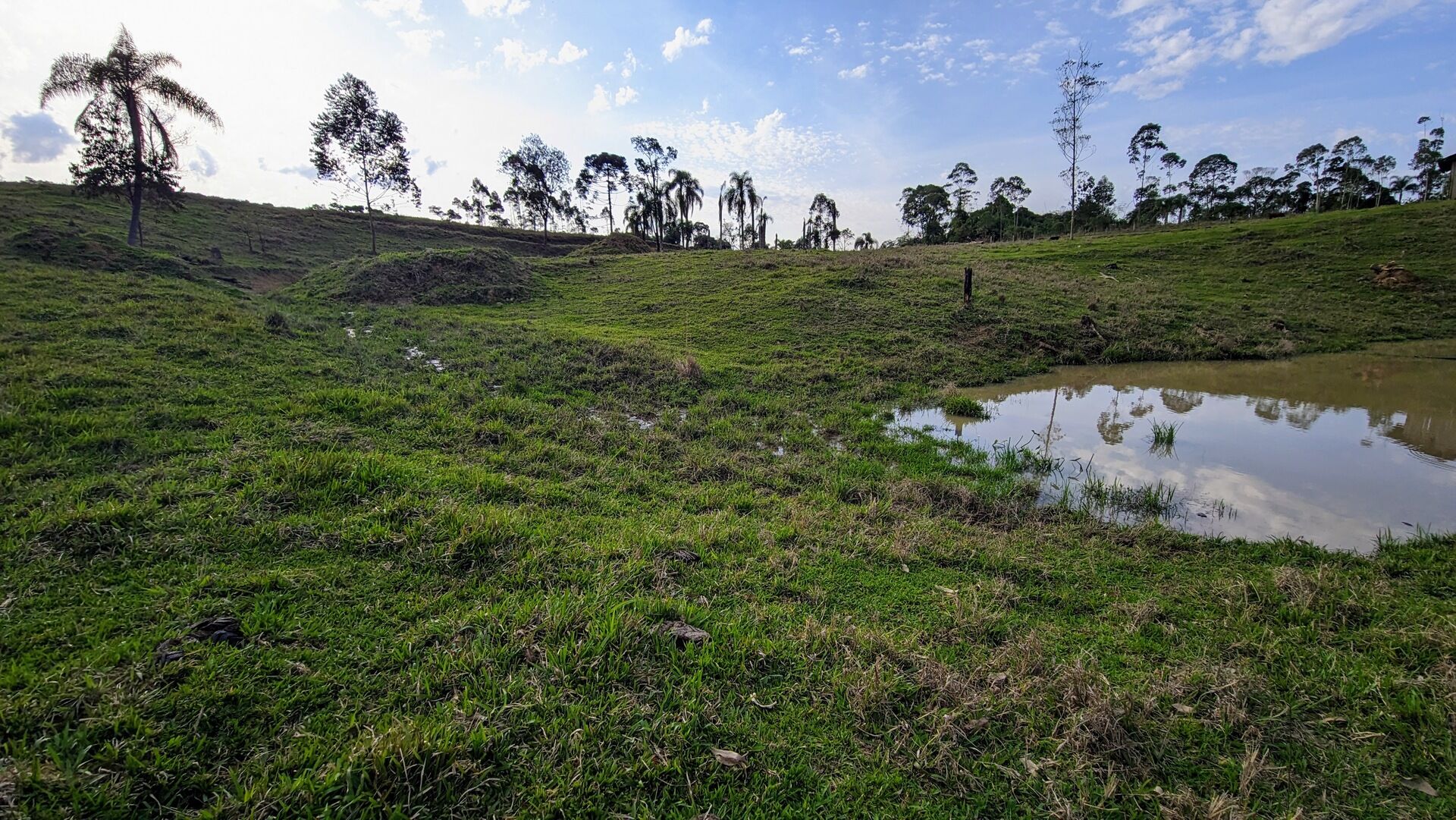 Terreno, 4 hectares - Foto 13