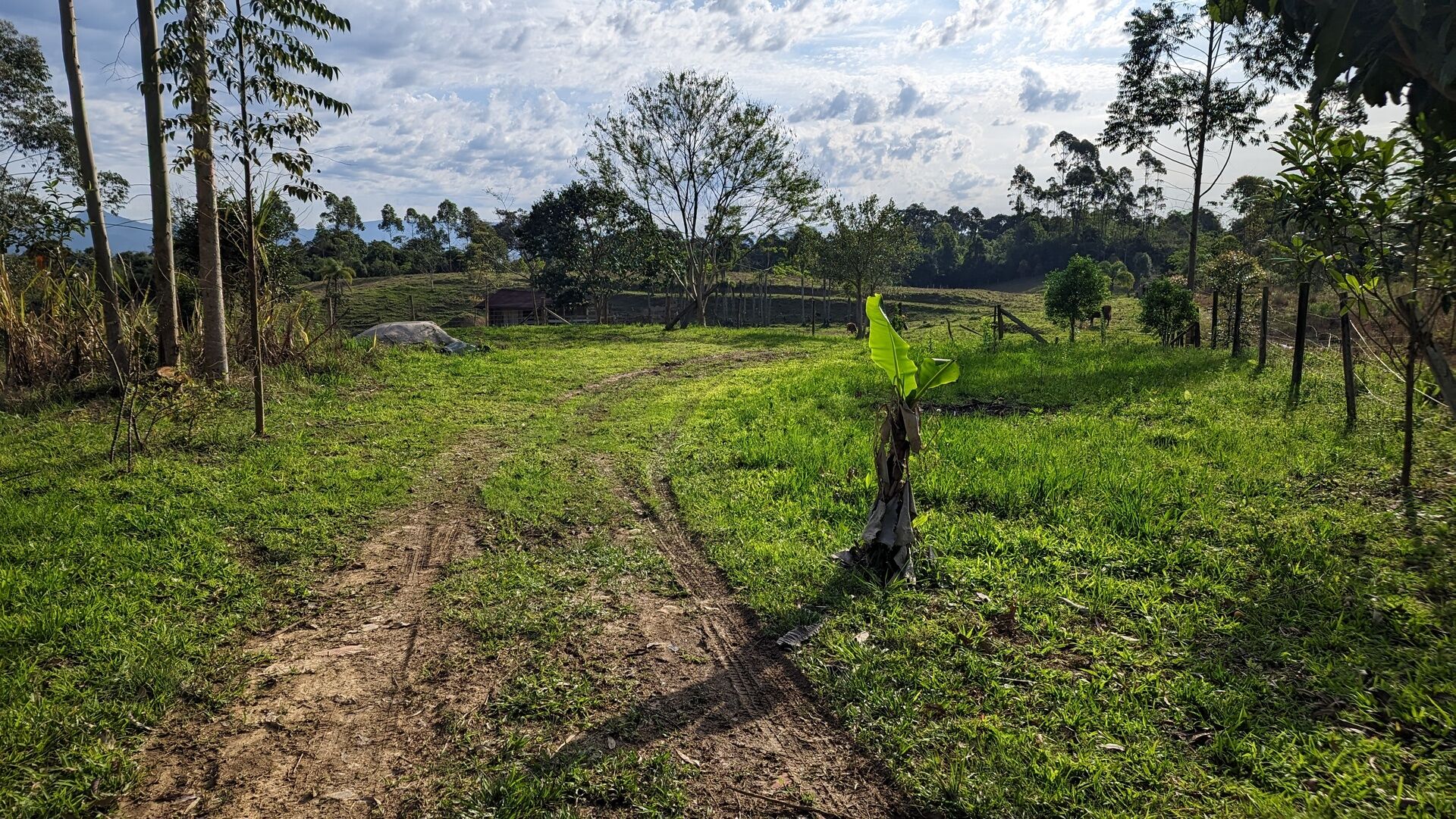 Terreno, 4 hectares - Foto 2