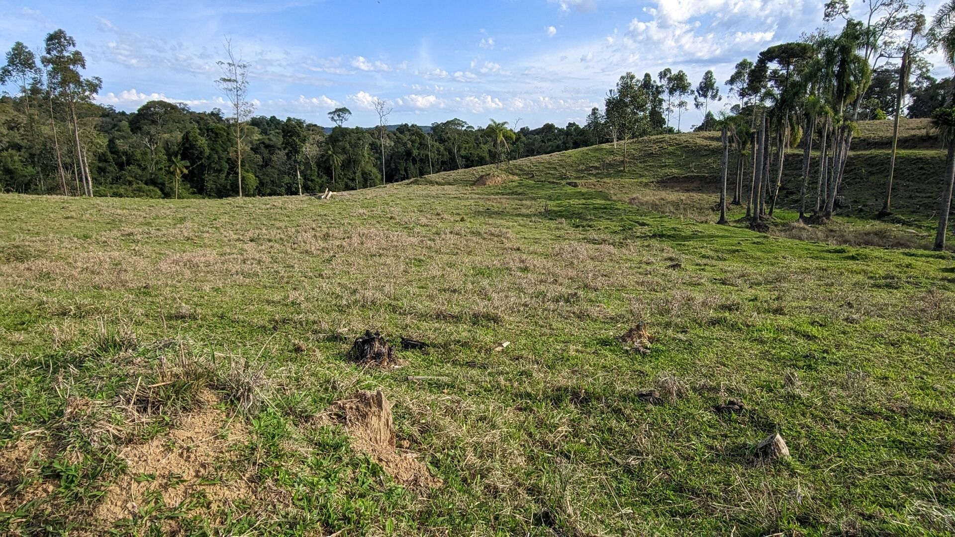 Terreno, 4 hectares - Foto 6