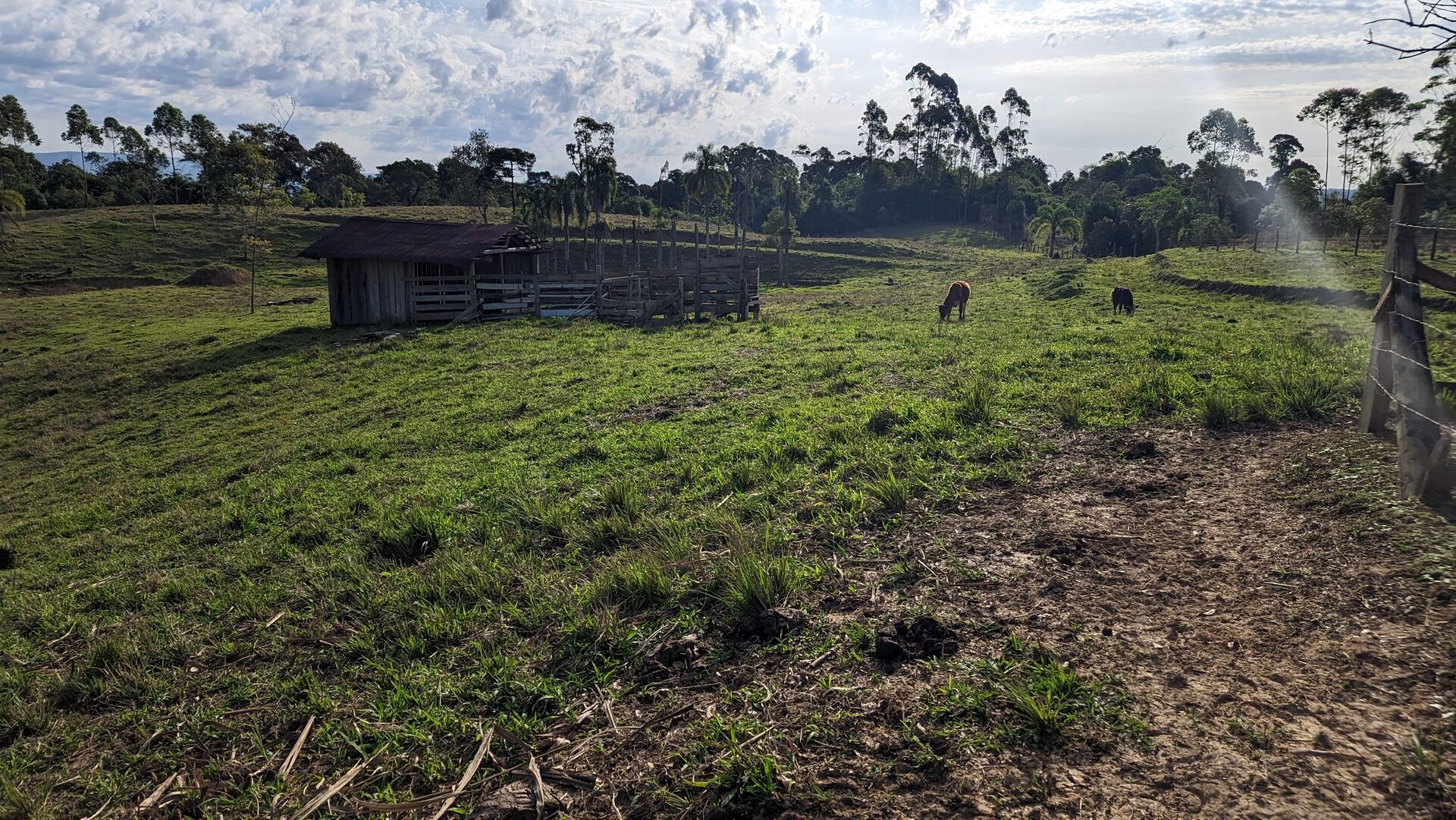 Terreno, 4 hectares - Foto 3