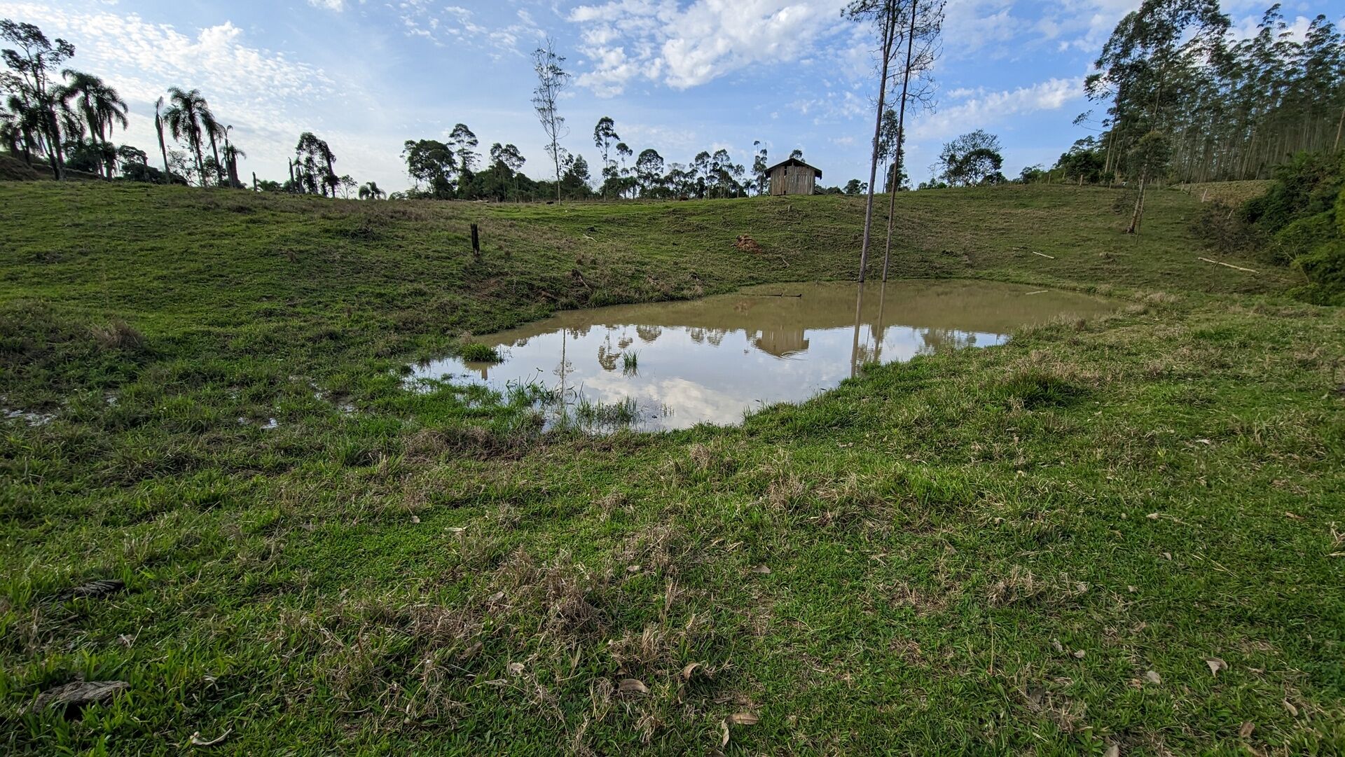 Terreno, 4 hectares - Foto 12