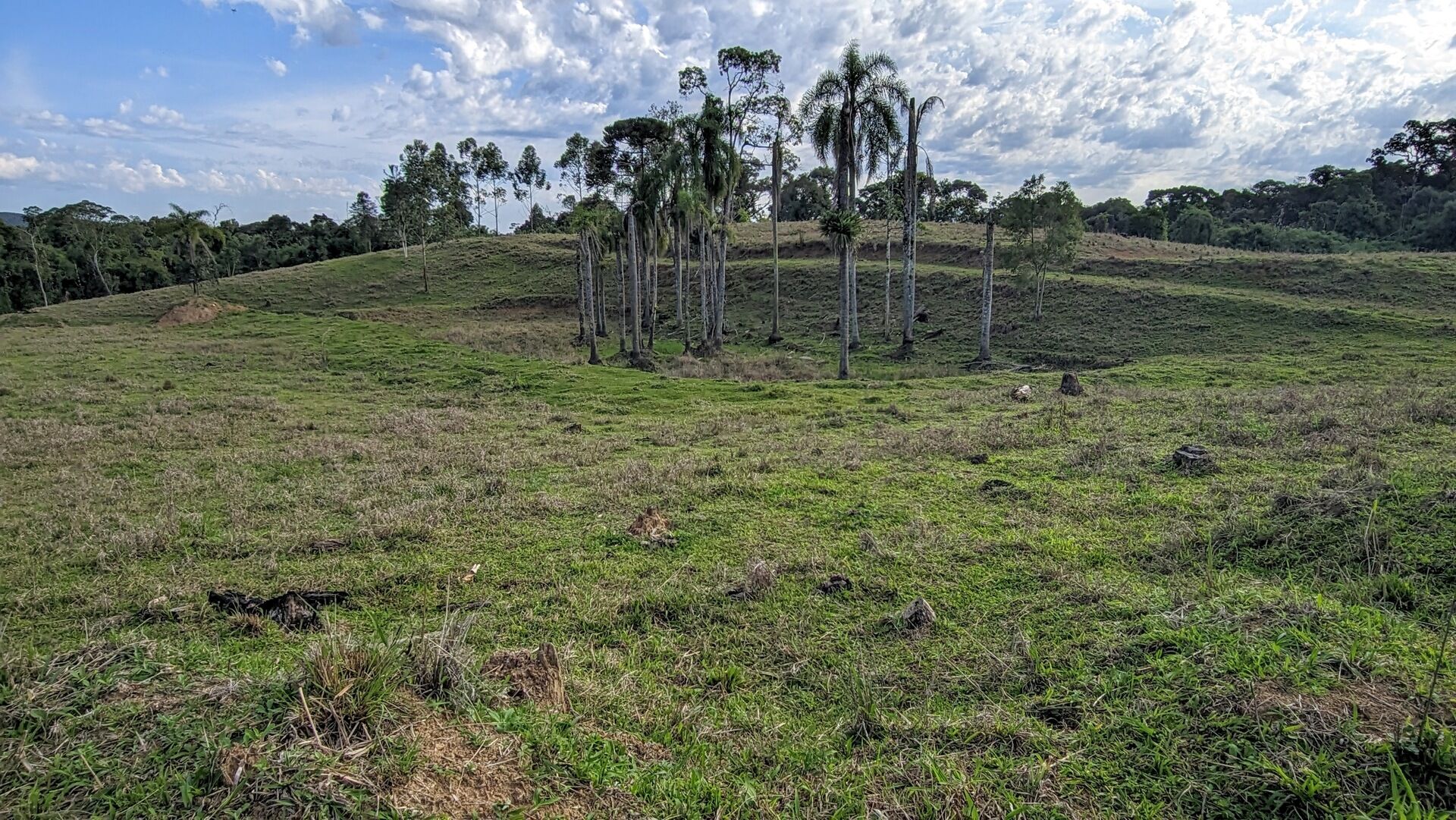 Terreno, 4 hectares - Foto 4