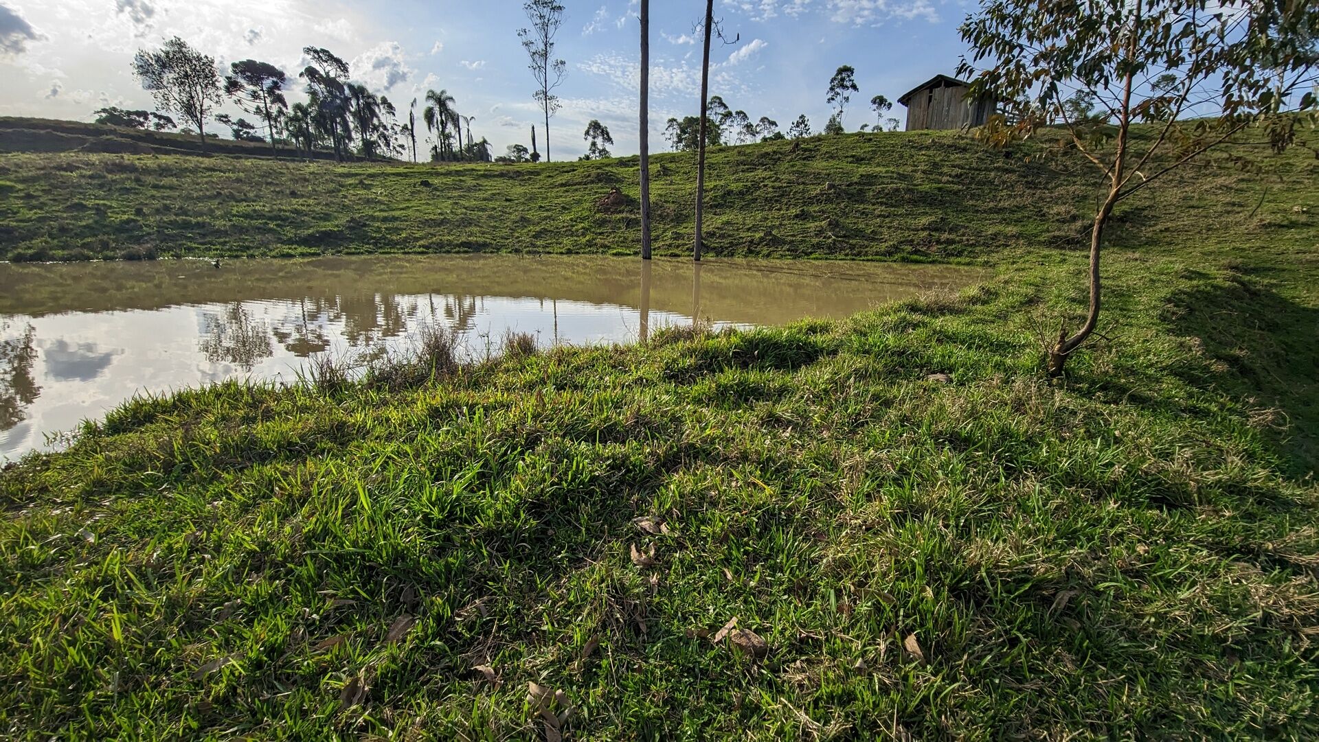 Terreno, 4 hectares - Foto 14