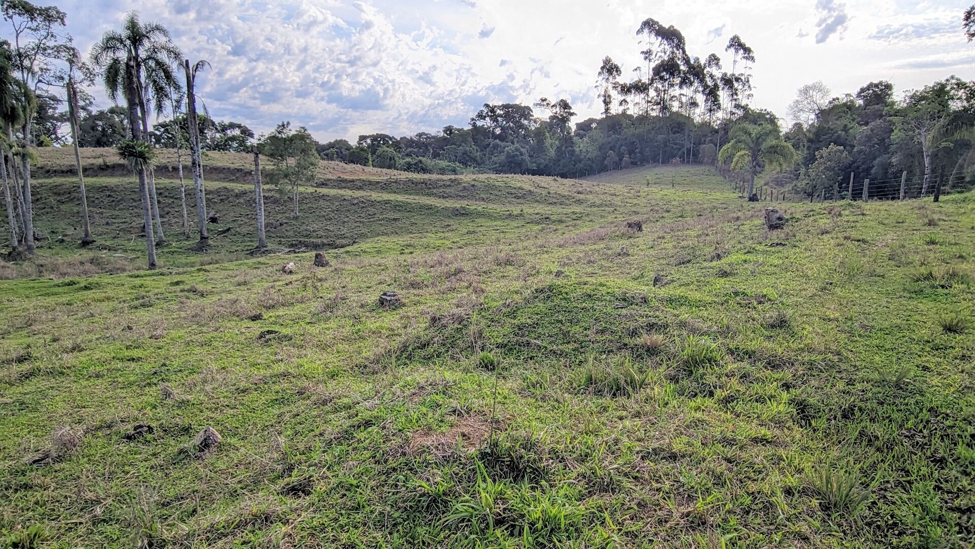 Terreno, 4 hectares - Foto 5