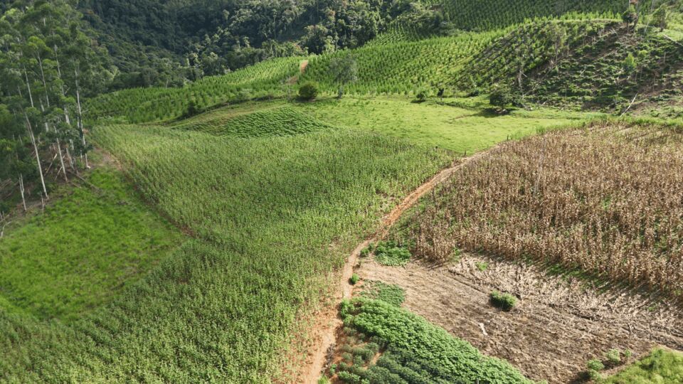 Chácara, 2 quartos, 8 hectares - Foto 5