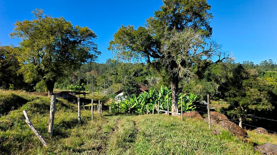 Chácara, 3 quartos, 10 hectares - Foto 9