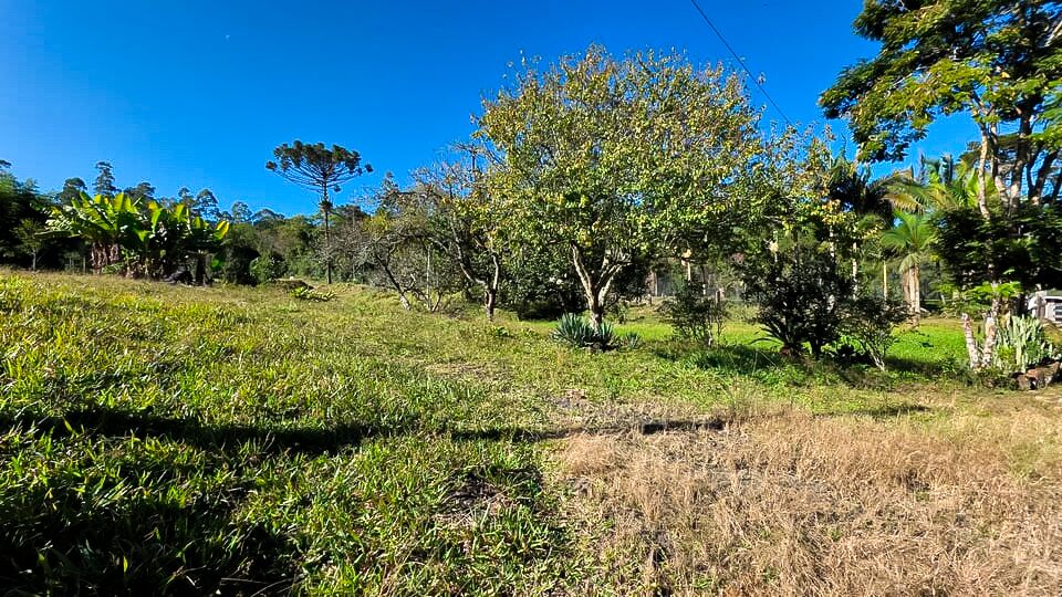 Chácara, 3 quartos, 10 hectares - Foto 31