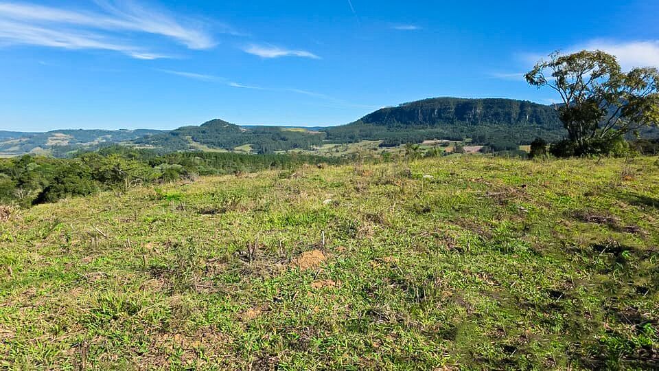 Chácara, 3 quartos, 10 hectares - Foto 18