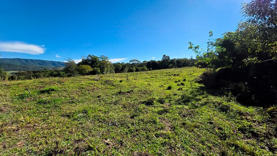 Chácara, 3 quartos, 10 hectares - Foto 10