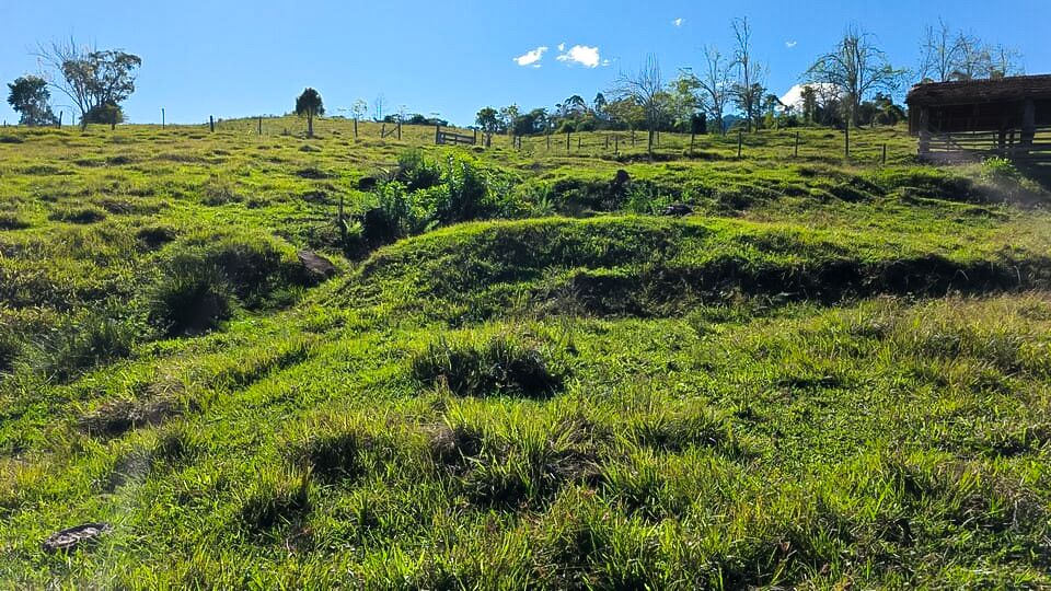 Chácara, 3 quartos, 10 hectares - Foto 8