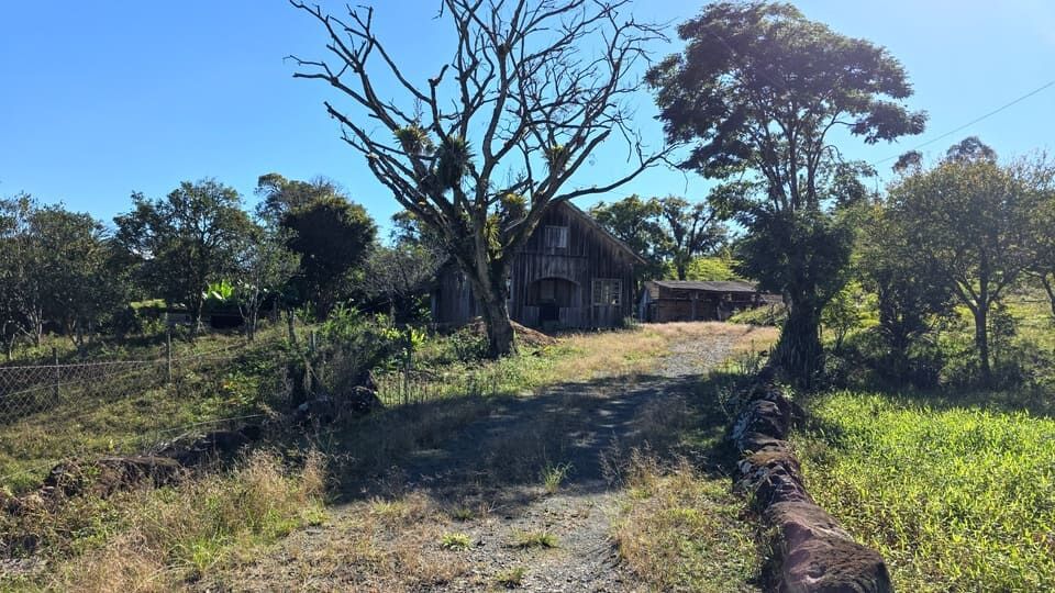 Chácara, 3 quartos, 10 hectares - Foto 17