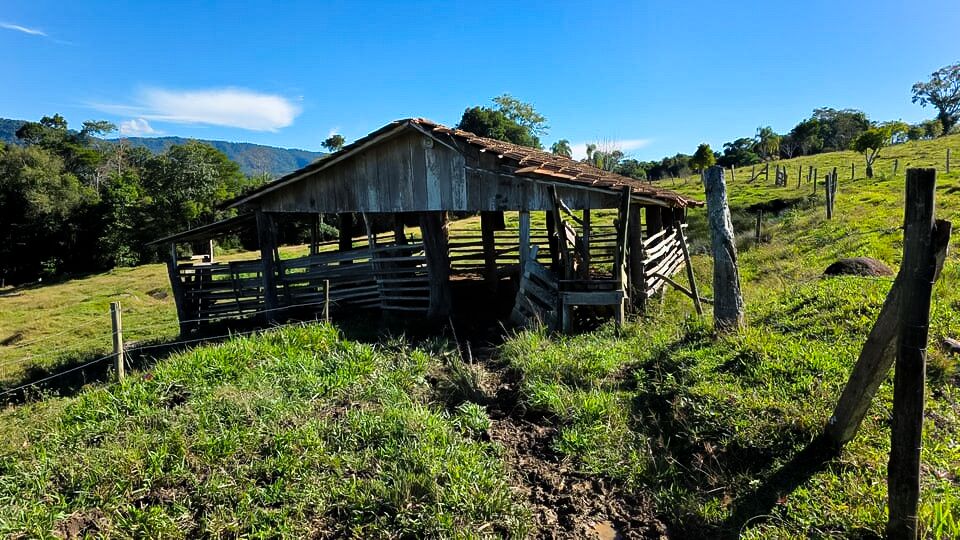 Chácara, 3 quartos, 10 hectares - Foto 11