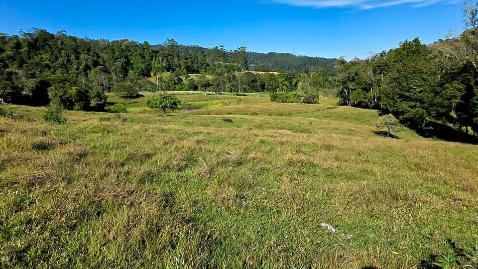 Chácara, 3 quartos, 10 hectares - Foto 20