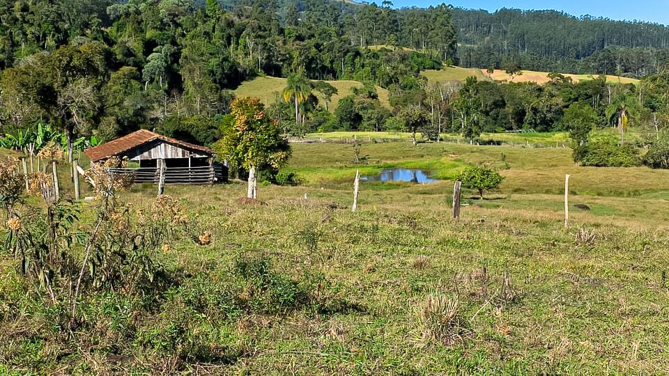 Chácara, 3 quartos, 10 hectares - Foto 14