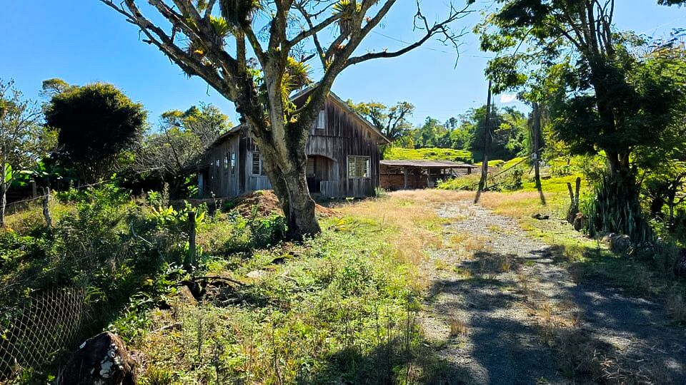 Chácara, 3 quartos, 10 hectares - Foto 6