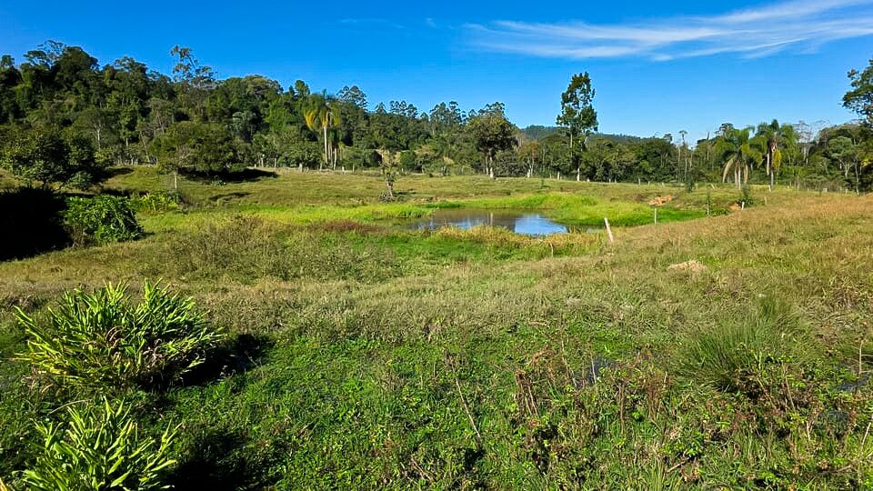 Chácara, 3 quartos, 10 hectares - Foto 19