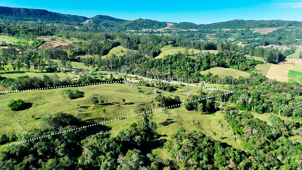 Chácara, 3 quartos, 10 hectares - Foto 4