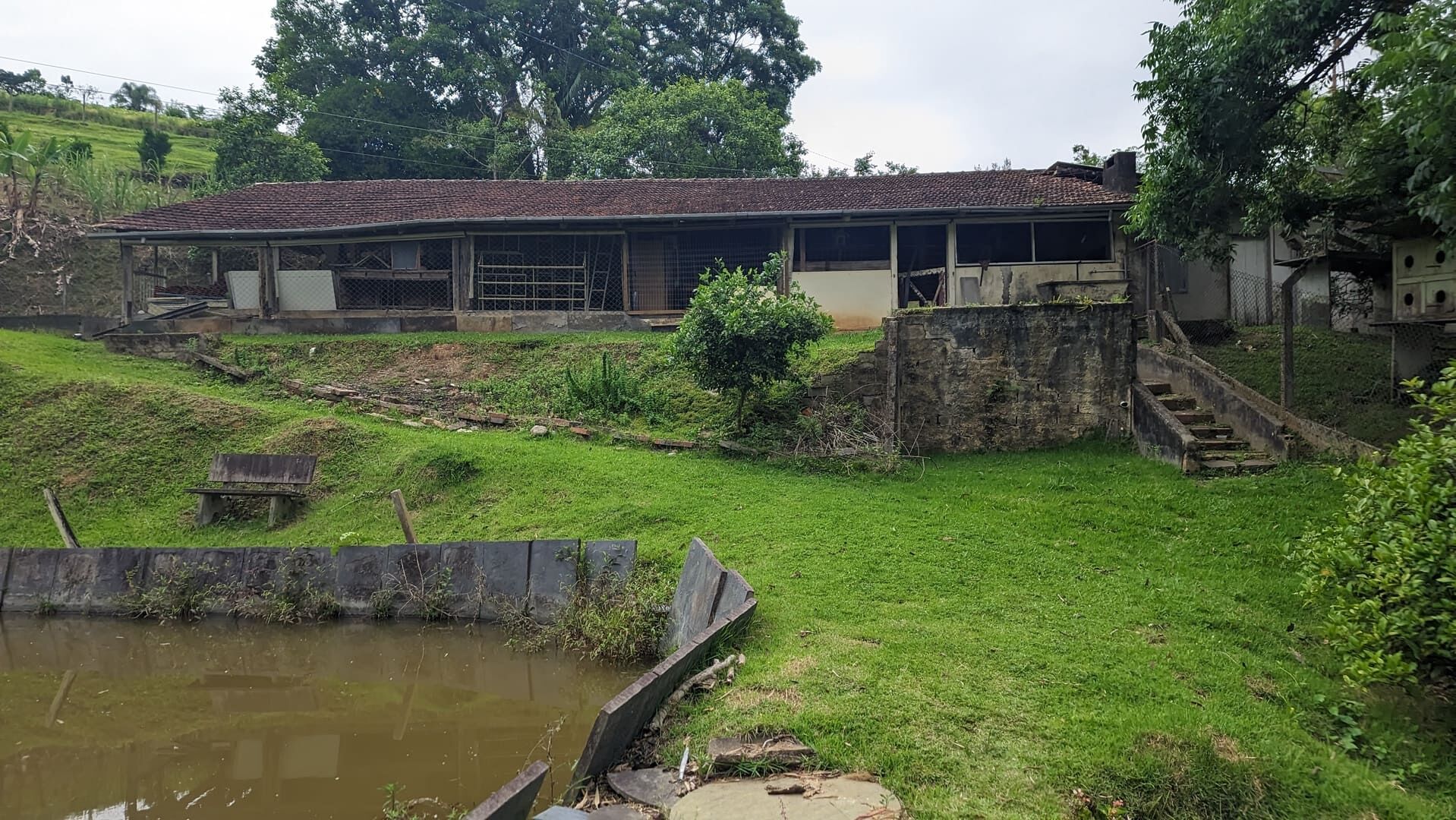 Sítio, 13 hectares - Foto 15