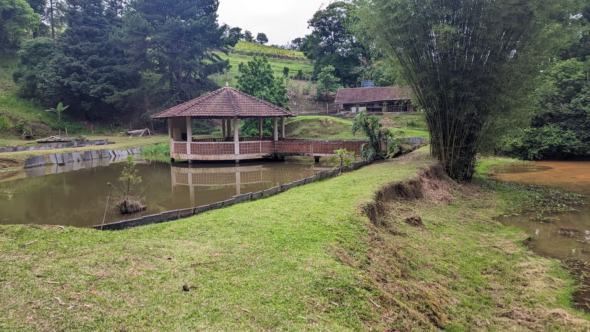 Sítio, 13 hectares - Foto 8