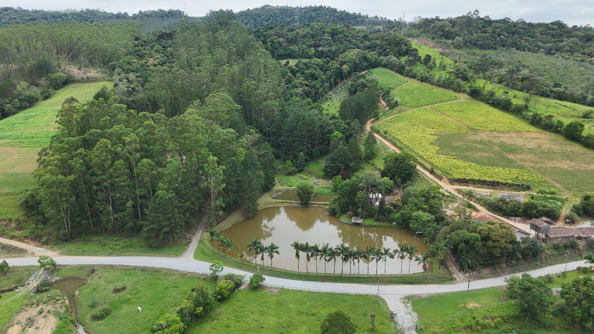 Sítio, 13 hectares - Foto 2