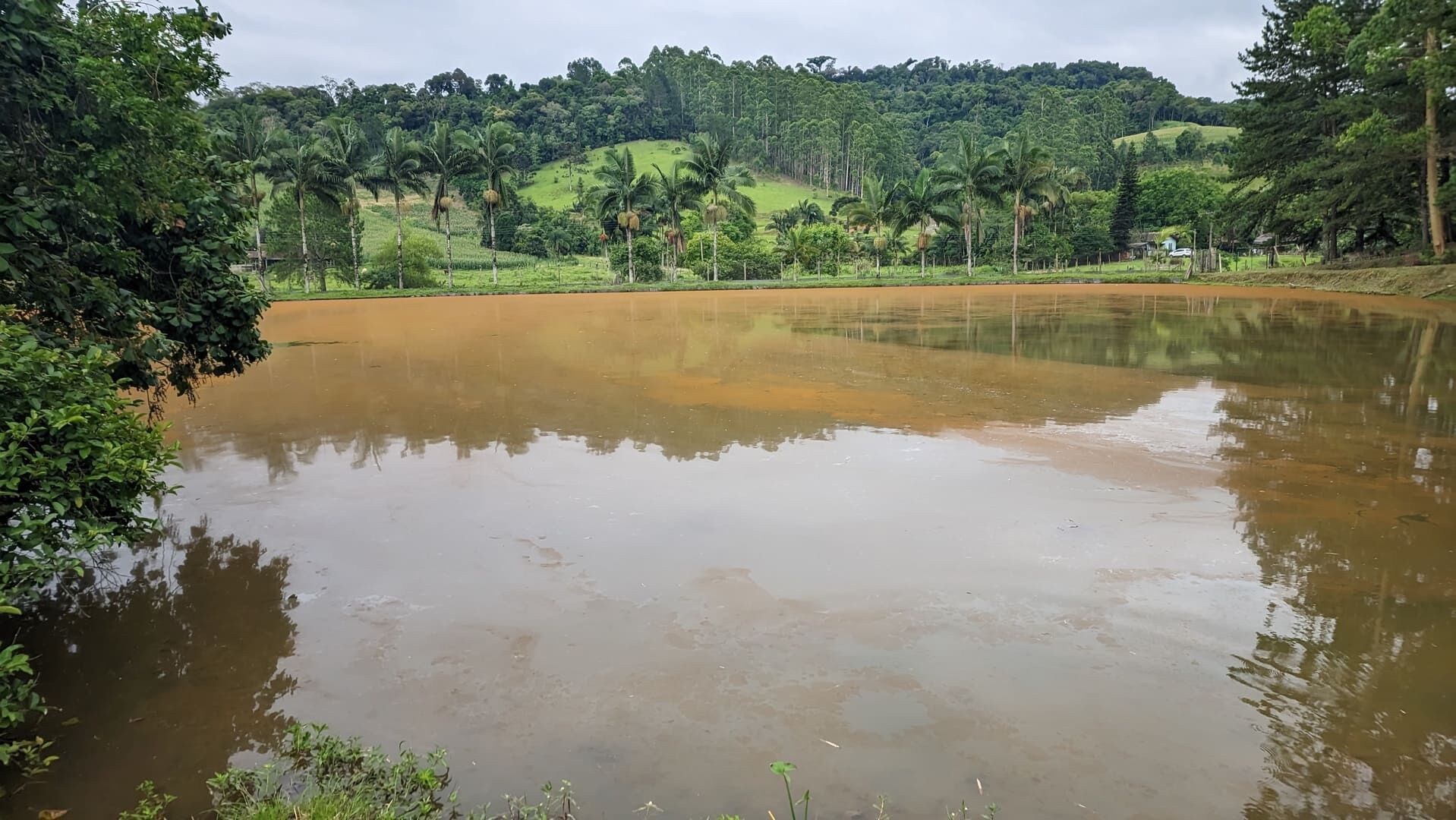 Sítio, 13 hectares - Foto 3