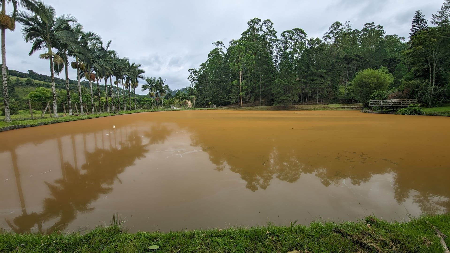 Sítio, 13 hectares - Foto 23