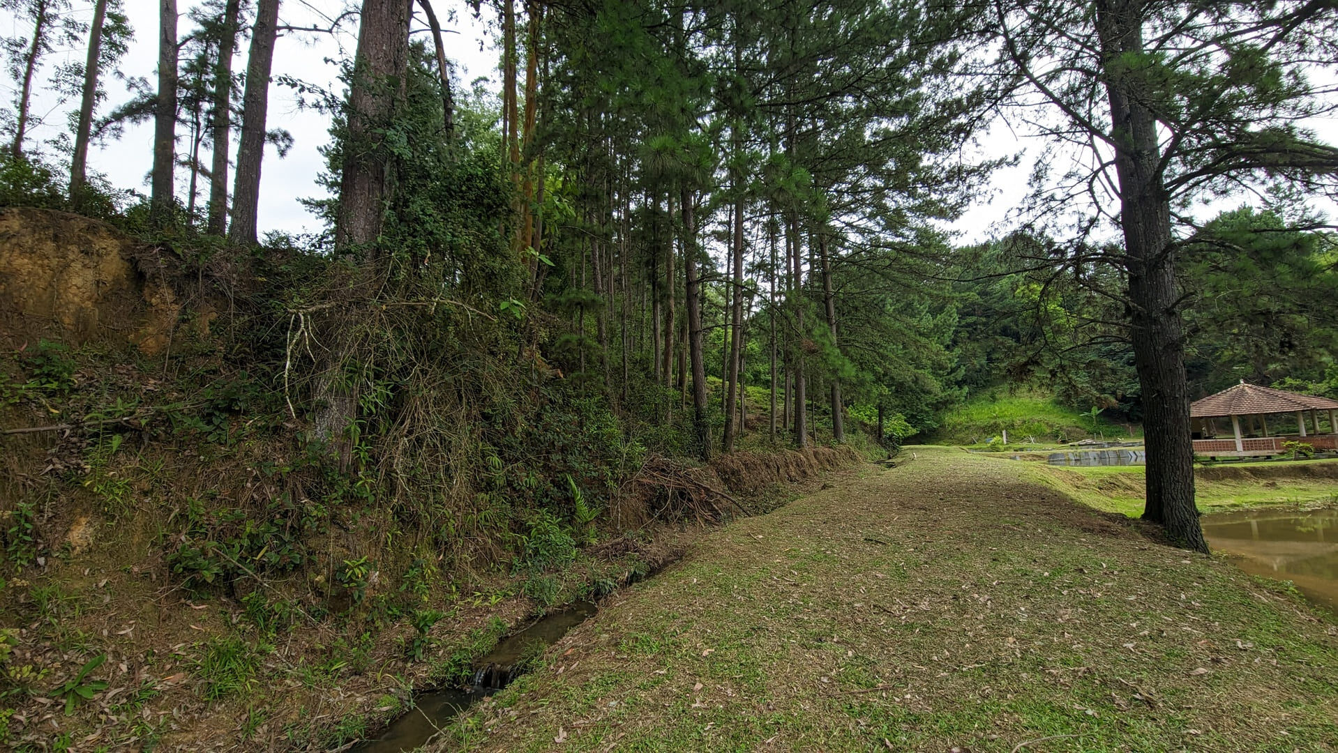 Sítio, 13 hectares - Foto 17