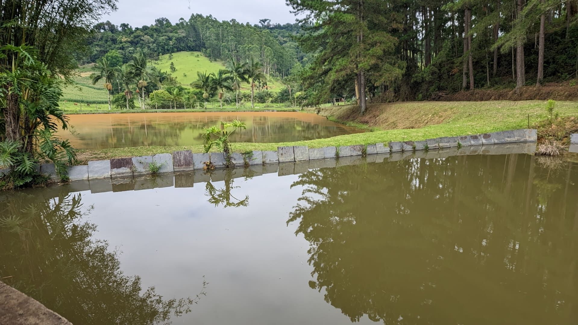 Sítio, 13 hectares - Foto 7