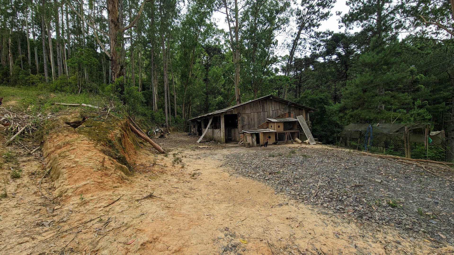 Sítio, 13 hectares - Foto 24