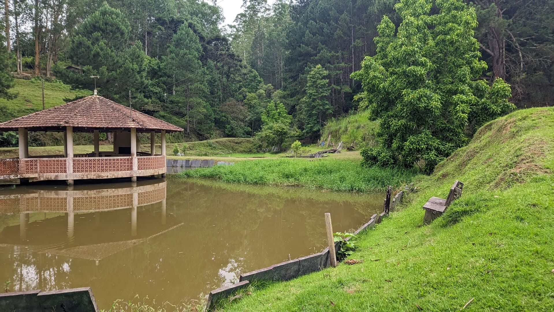 Sítio, 13 hectares - Foto 14