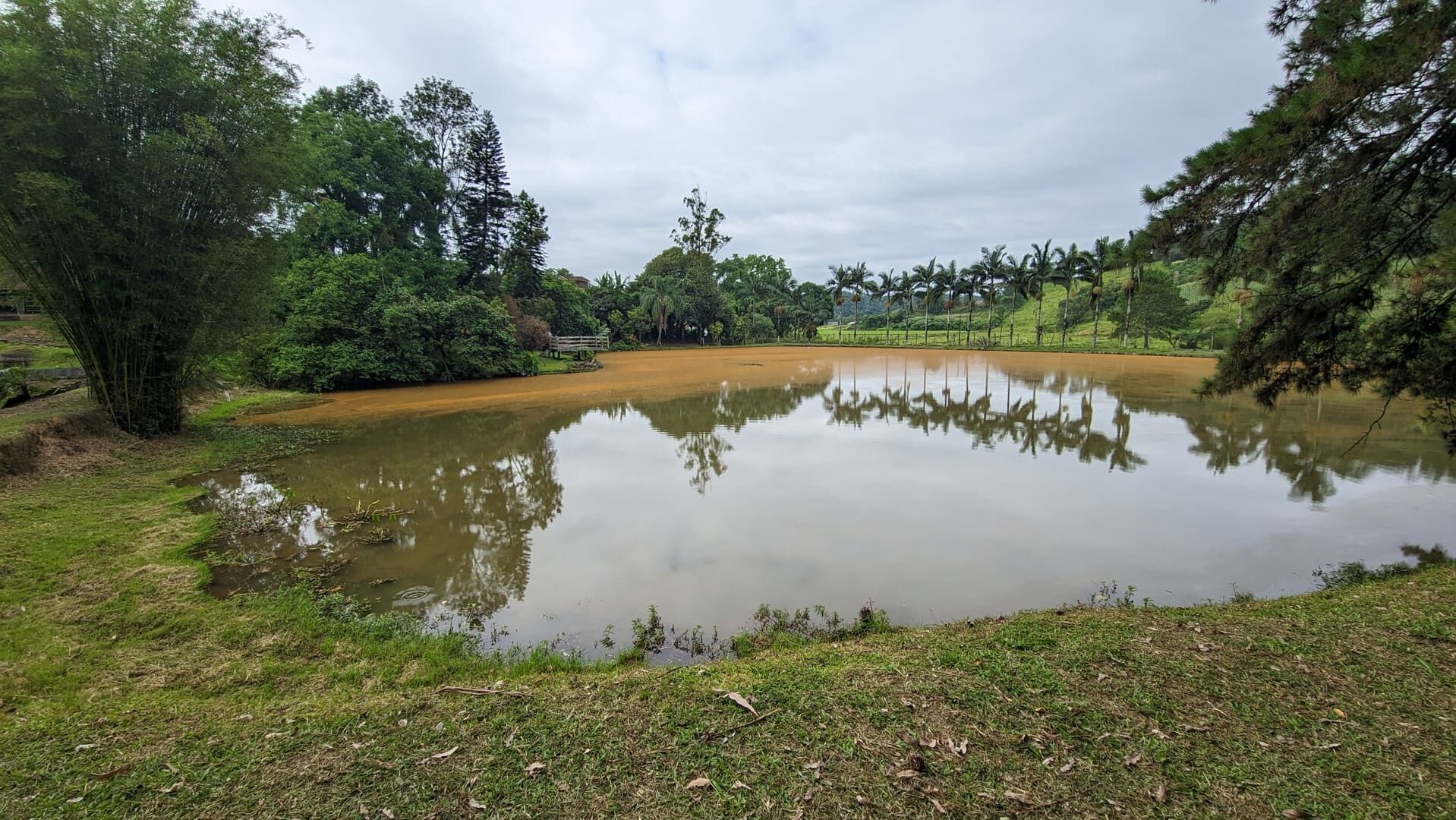 Sítio, 13 hectares - Foto 29