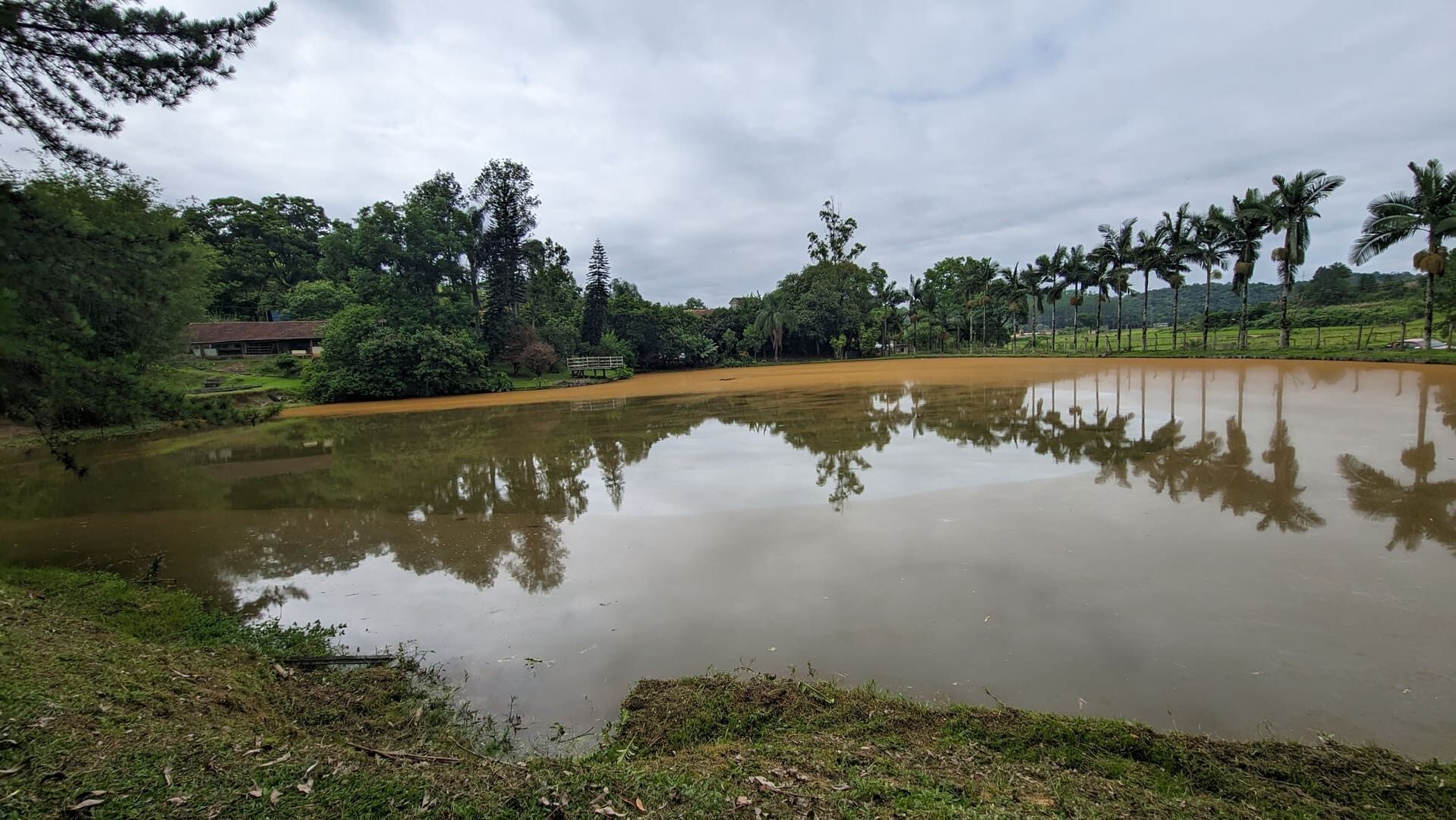 Sítio, 13 hectares - Foto 6