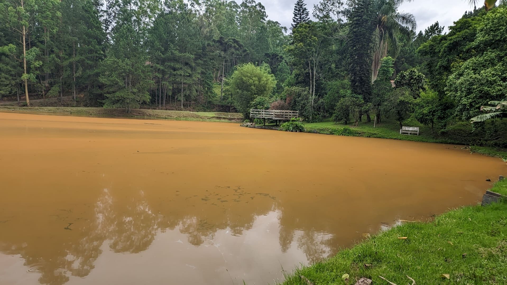 Sítio, 13 hectares - Foto 22