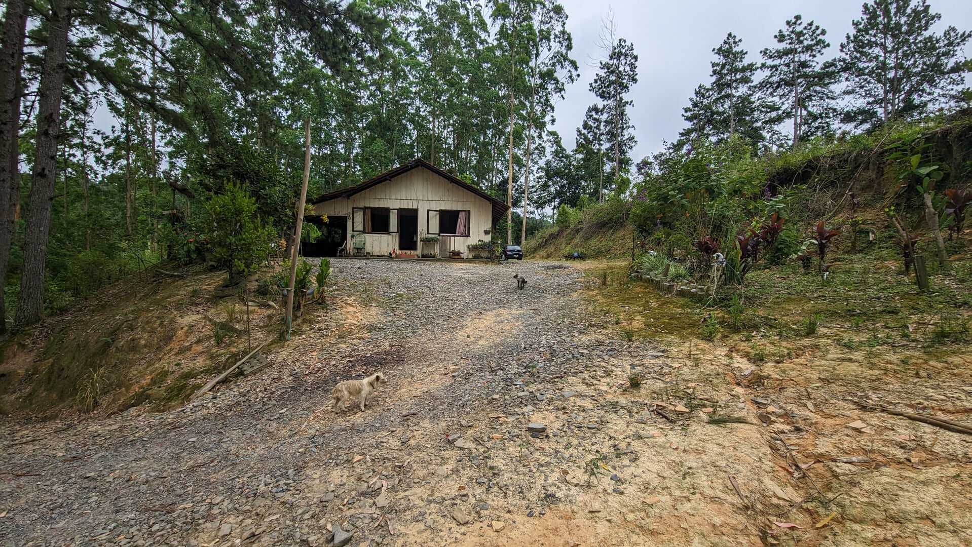 Sítio, 13 hectares - Foto 26