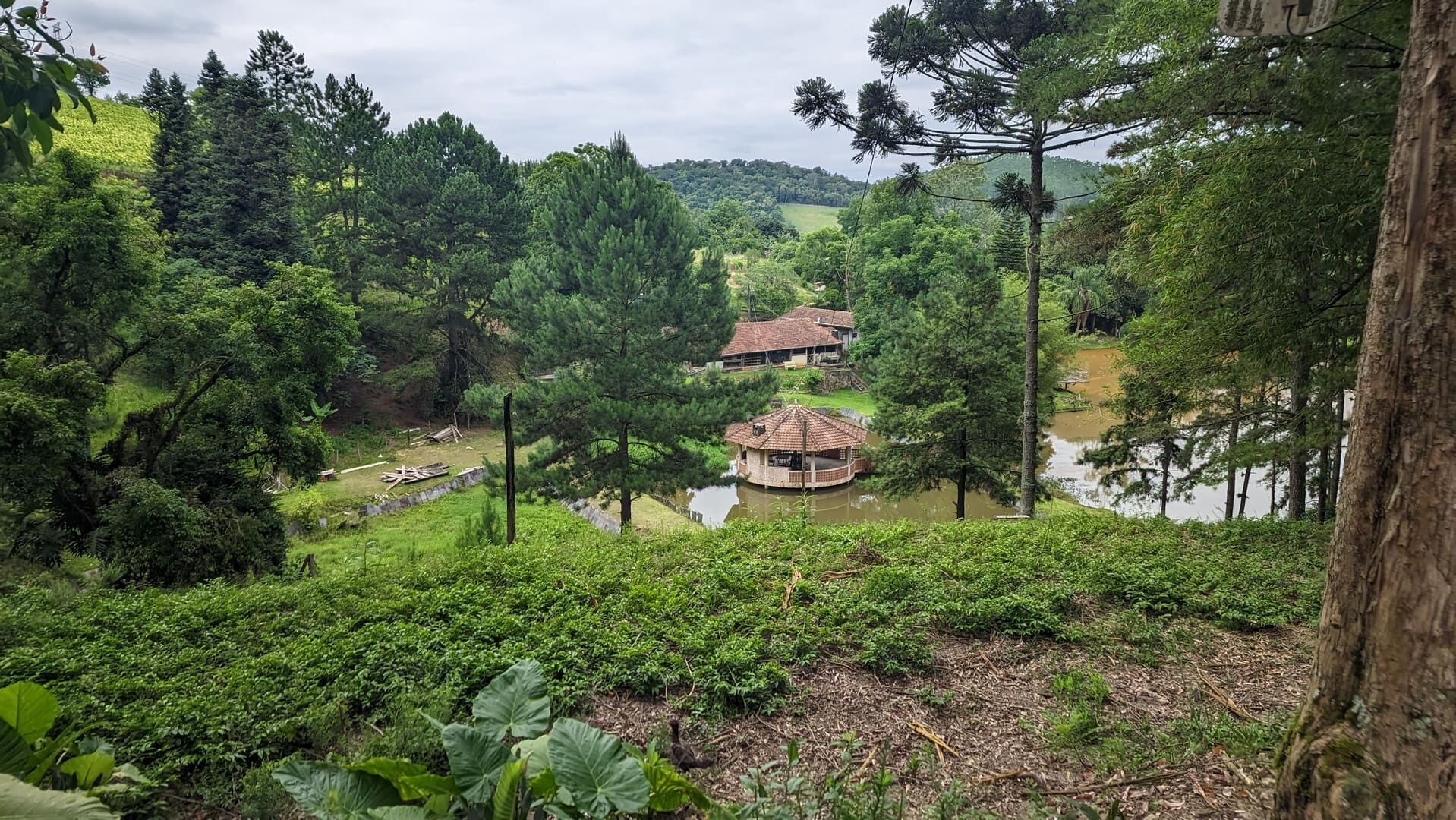 Sítio, 13 hectares - Foto 28