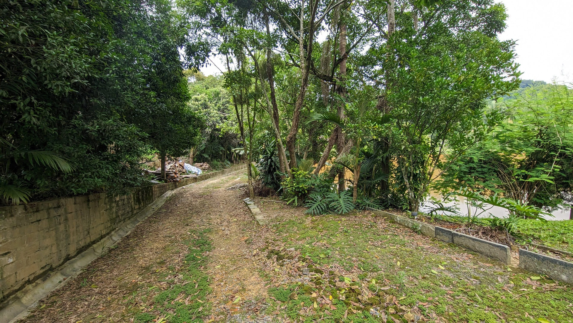 Sítio, 13 hectares - Foto 20