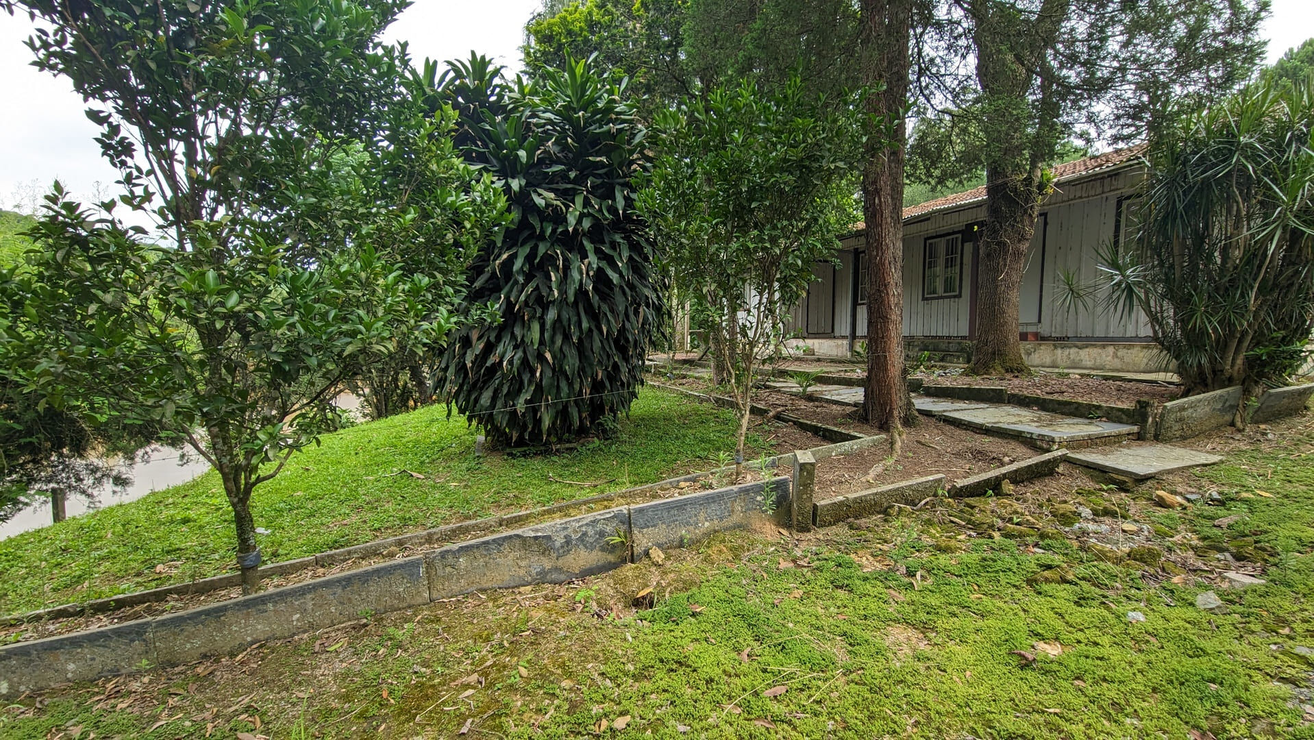 Sítio, 13 hectares - Foto 19