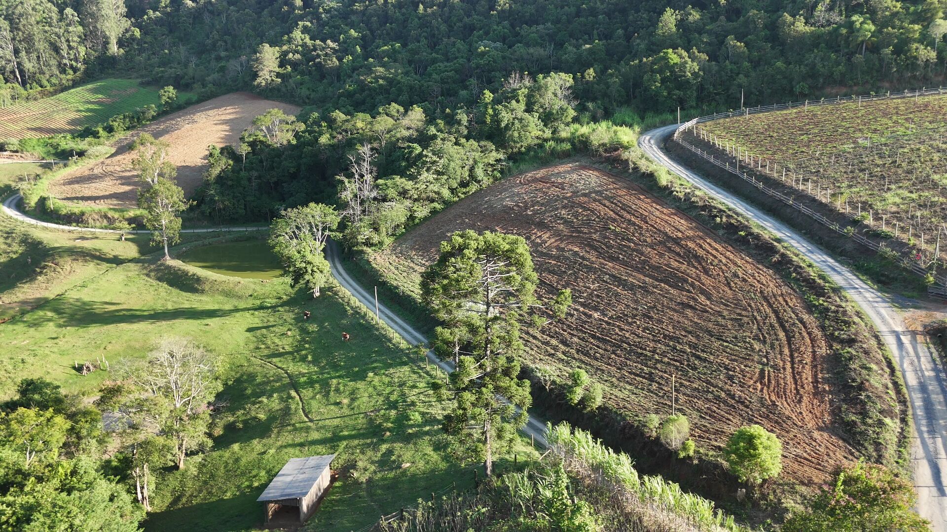 Terreno à venda, 50000m² - Foto 2