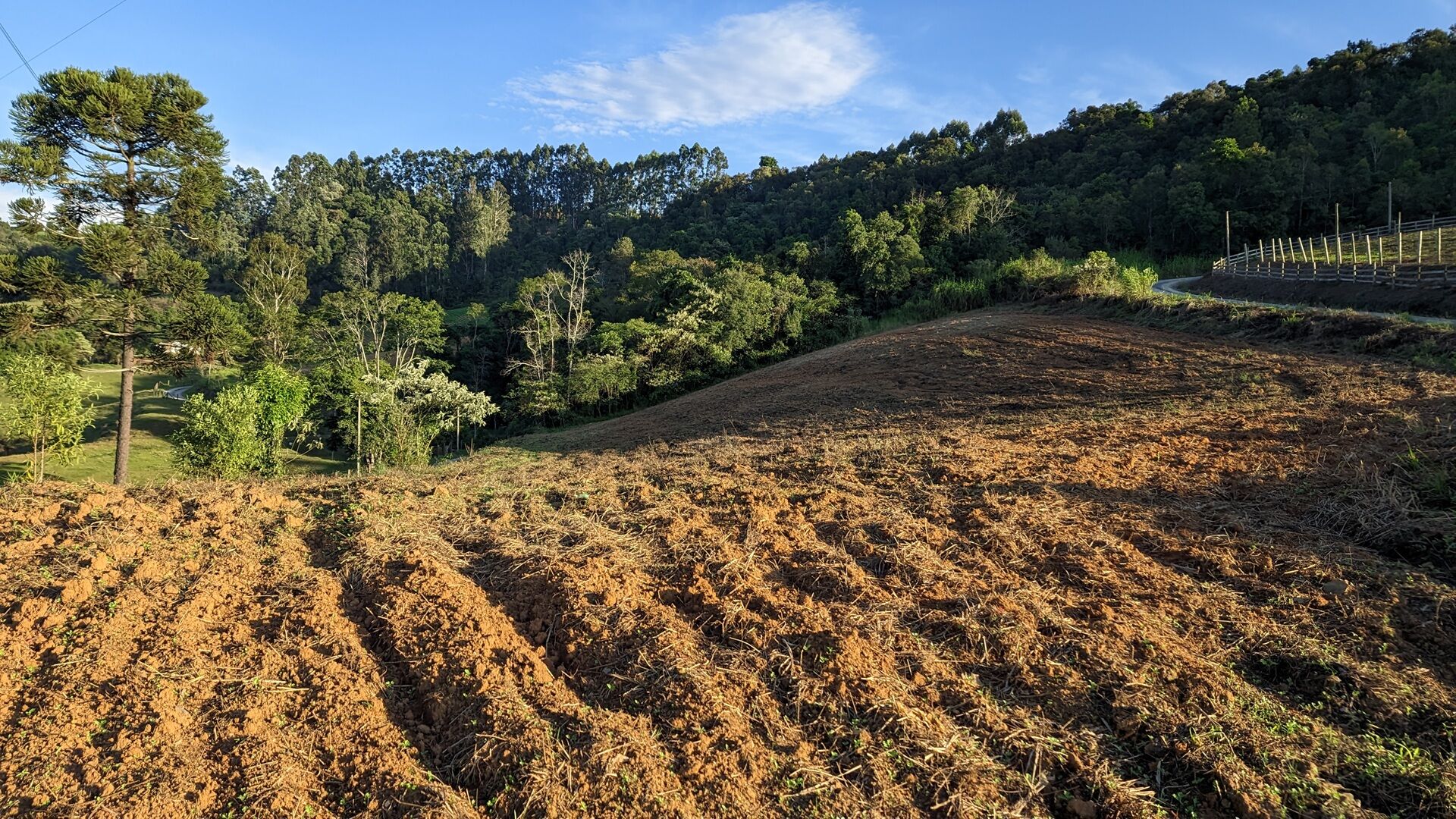 Terreno à venda, 50000m² - Foto 4