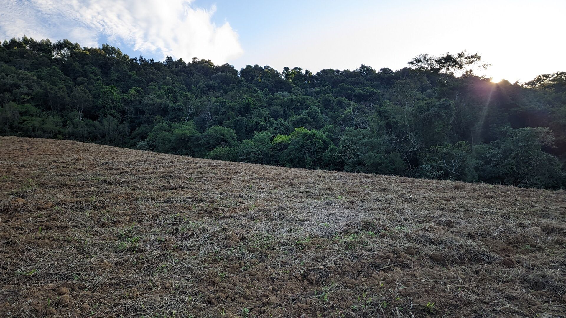 Terreno à venda, 50000m² - Foto 6