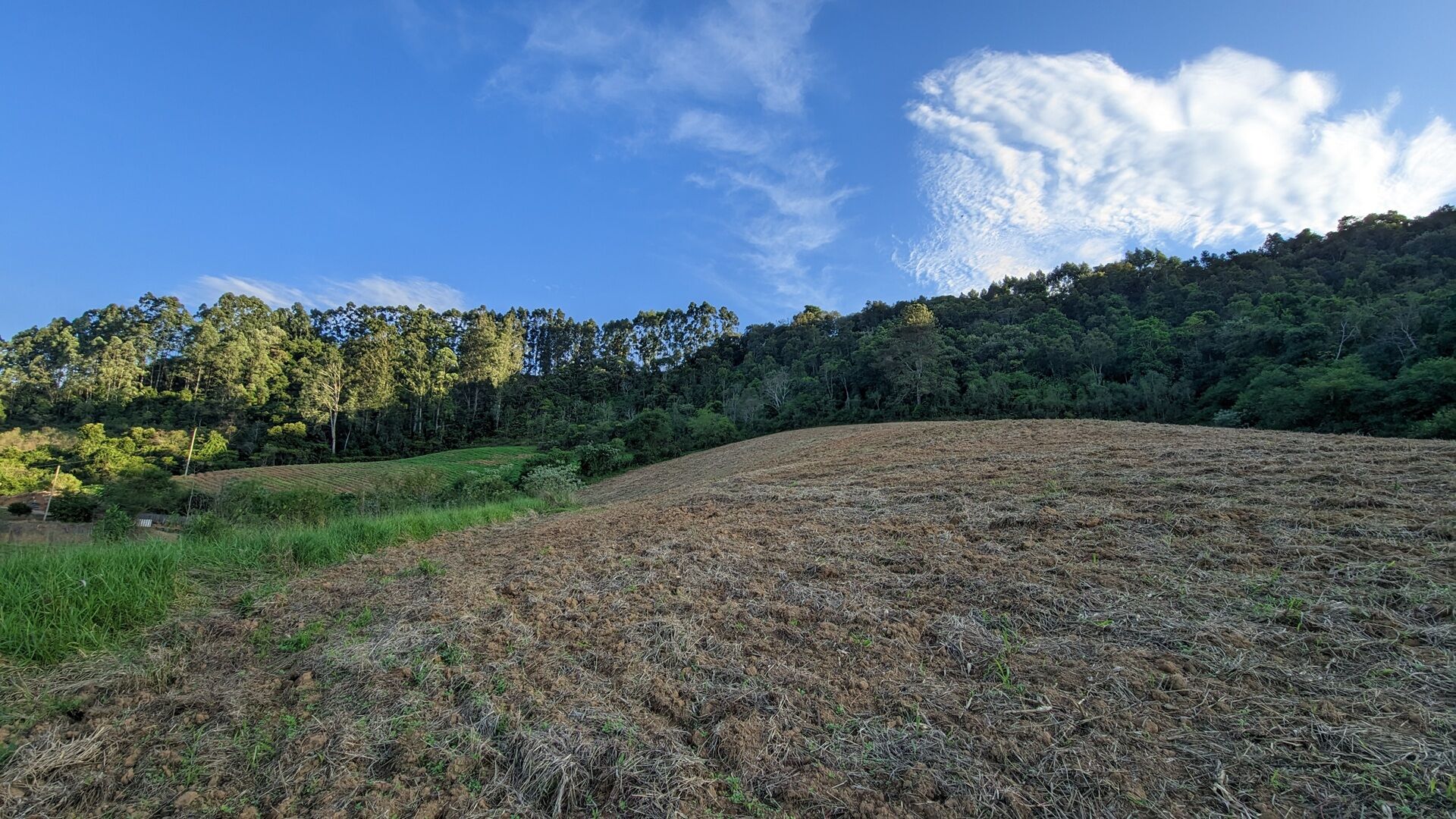 Terreno à venda, 50000m² - Foto 5