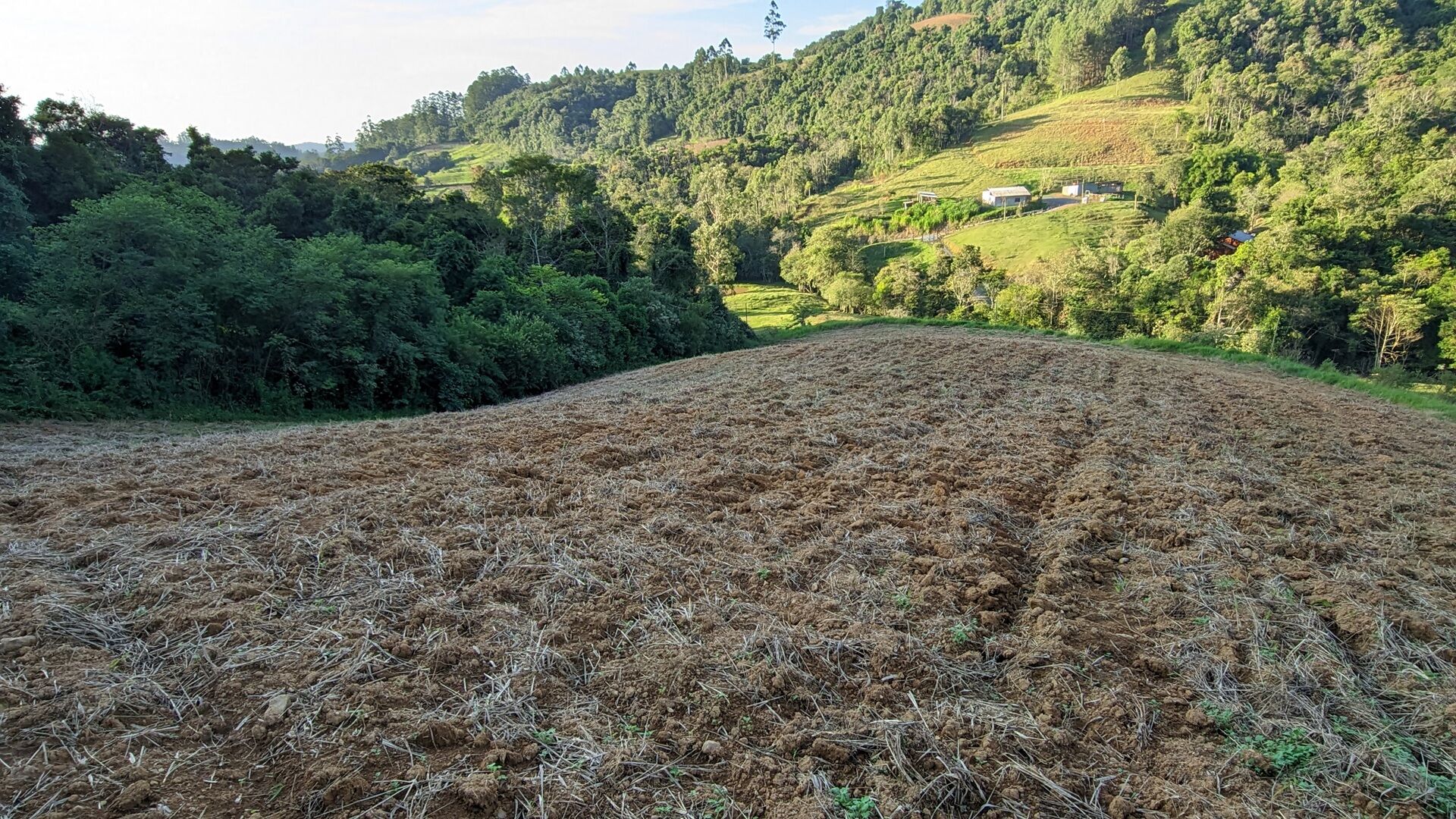 Terreno à venda, 50000m² - Foto 8