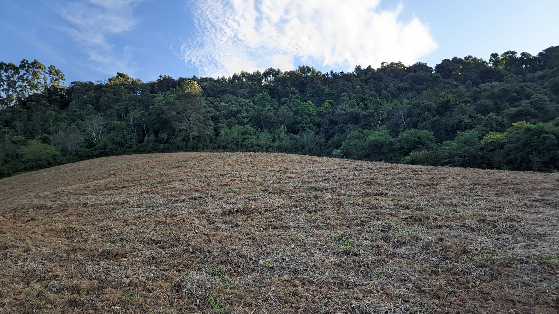 Terreno à venda, 50000m² - Foto 7