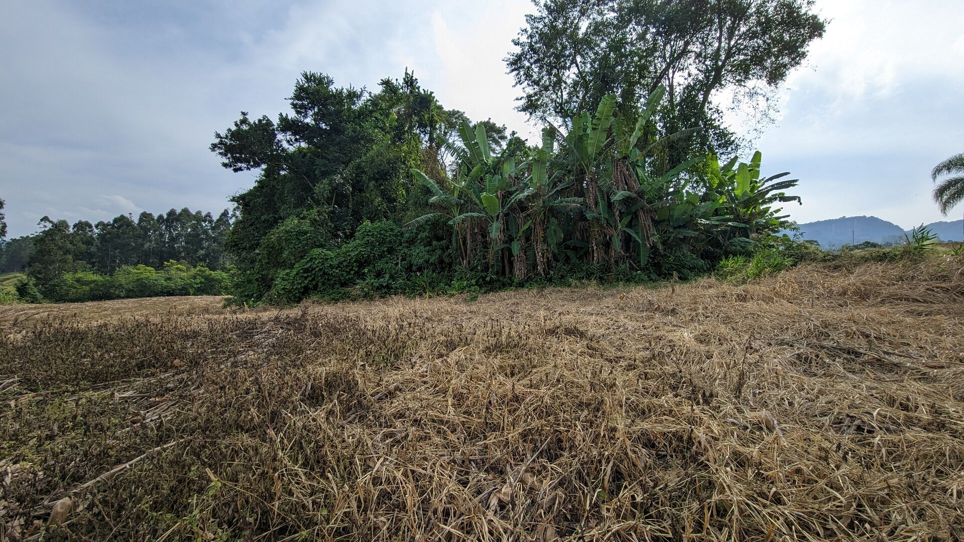 Terreno, 3 hectares - Foto 20