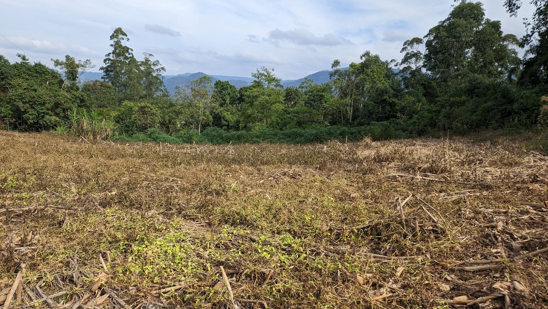 Terreno, 3 hectares - Foto 16